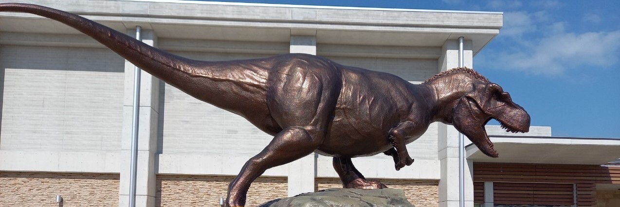 しろやま2校　🦖恐竜博物館🦖