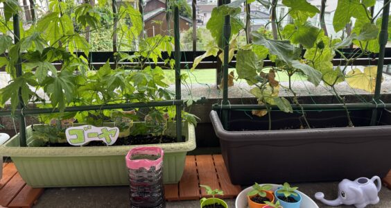 こどトレ１校　4～5月　こどとれ農園始めました🍃