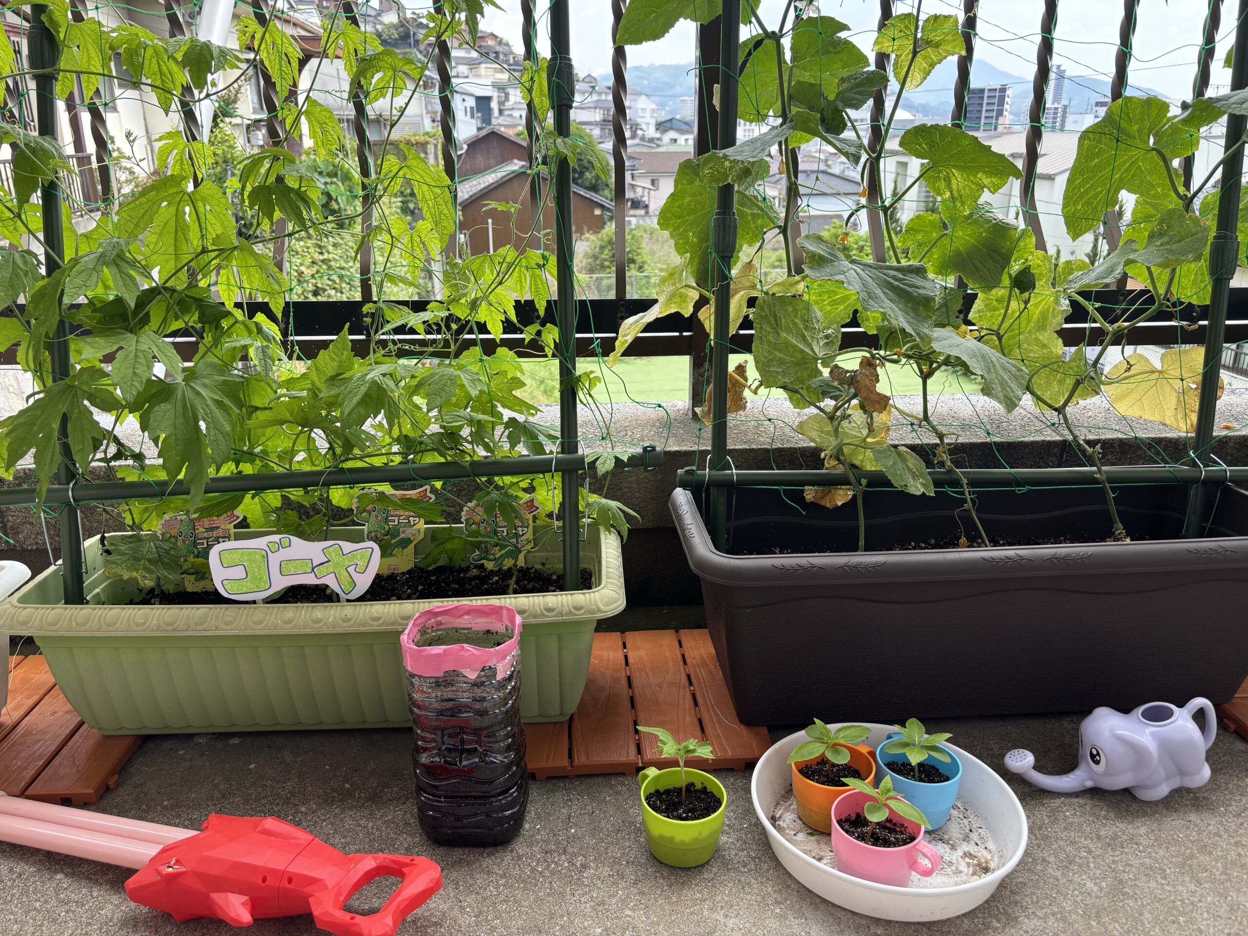 こどトレ１校　4～5月　こどとれ農園始めました🍃